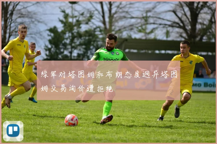 绿军对塔图姆和布朗态度迥异塔图姆交易询价遭拒绝