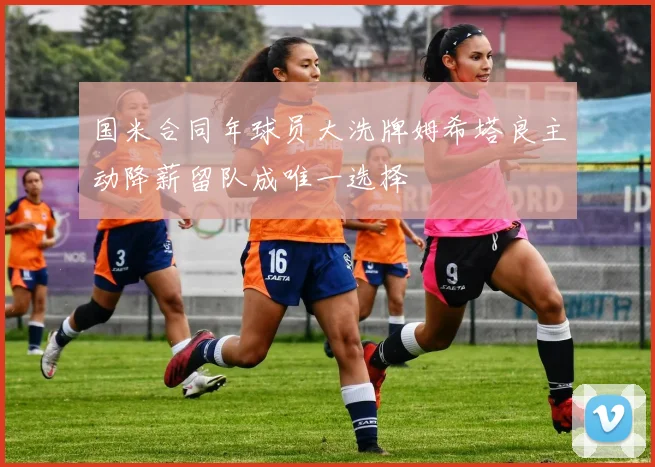 国米合同年球员大洗牌姆希塔良主动降薪留队成唯一选择