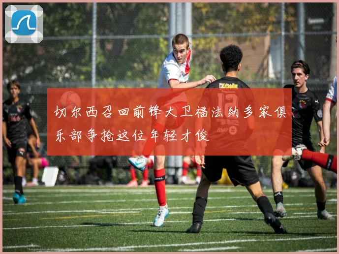 切尔西召回前锋大卫福法纳多家俱乐部争抢这位年轻才俊